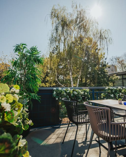 Mrav Burger Instagram